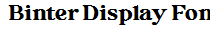 Binter Display Font